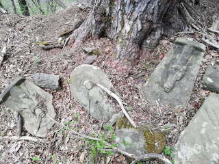 画像に含まれている可能性があるもの:木、屋外